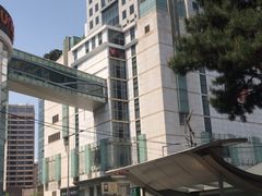 -乐天免税店(明洞店)