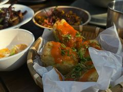 -毛辣果·酸(OHA复兴西路店)