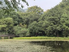 -八卦田遗址公园