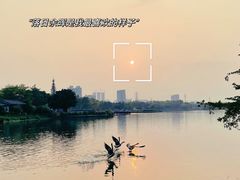 -海珠湖公园