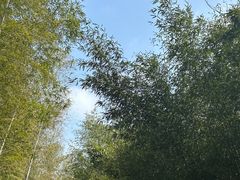 -黄公望隐居地
