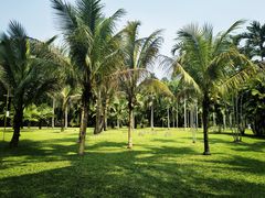 -中国科学院西双版纳热带植物园