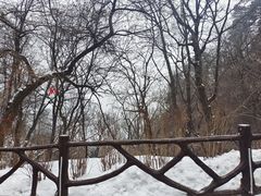 -终南山南五台景区