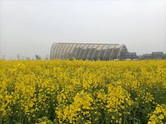 -中国天府农业博览园