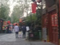 -合肥滨湖国家森林公园