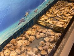 -海天盛宴潮汕蒸汽海鲜高端自助形象店