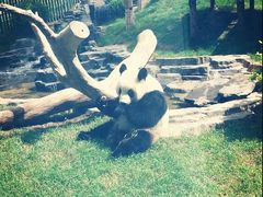 -大连森林动物园