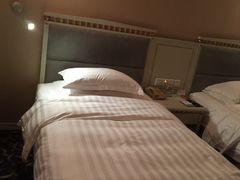 -成都绿洲大酒店(春熙路太古里店)