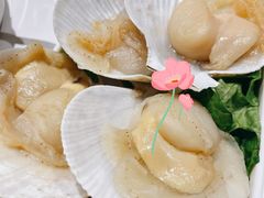 扇贝-肥佬大椰子鸡(三里屯3·3大厦店)