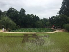 -韶山毛泽东同志故居