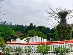 -东莞植物园