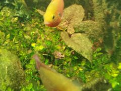 -多彩贵州城极地海洋世界