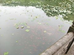 -五泄景区