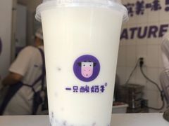 原味酸奶紫米露-一只酸奶牛(八一路店)