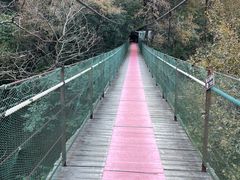 -桂林古东瀑布景区