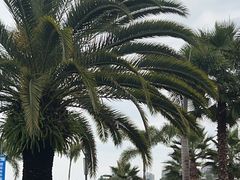 -湖泉水云间餐厅·弥勒地道菜(B座店)