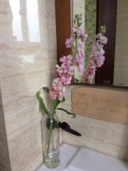 -Union瑜伽健康管理中心