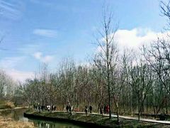 -溱湖国家湿地公园