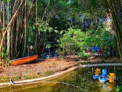 环境-望江楼公园