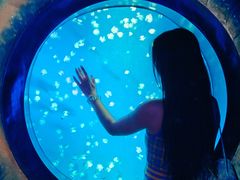 -合肥海洋世界