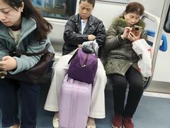 -大龙山(地铁站)