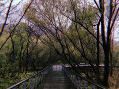 -西湖风景区-江洋畈生态公园