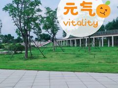 -沙颍河公园