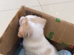 -宠颐生宠物医院·骨外科·犬猫全科诊疗中心(池州店)