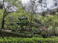 -岳麓山风景名胜区