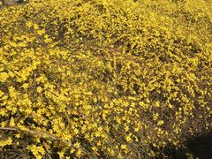 -北京动物园-畅观楼