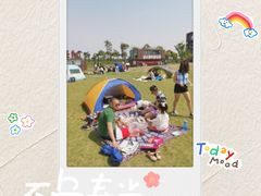 -春花秋色城市公园