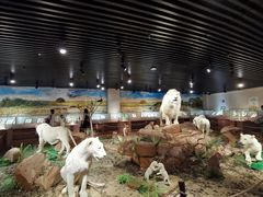 -陕西自然博物馆