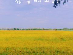 -嘉北郊野公园