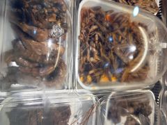 -王浩儿纪六孃甜皮鸭(东大街店)