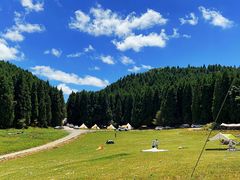 -武陵山森林公园