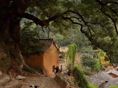 -杨家堂村