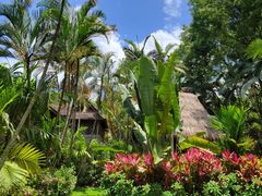 -西双版纳傣族园