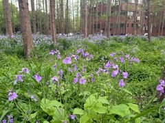 -上海交通大学(闵行校区)
