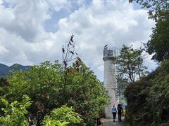 -羚羊峡古栈道森林公园