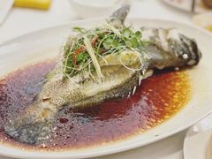 -喜粤8号(四海唐人街店)