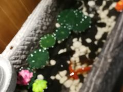 -鱼谦脆皮烤鱼(华阳城店)
