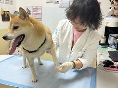 -美联众合动物医院·24h转诊中心