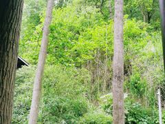 -阿哈湖国家湿地公园