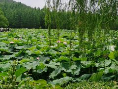 -云龙湖旅游景区