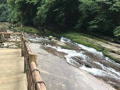 -黎坪国家森林公园