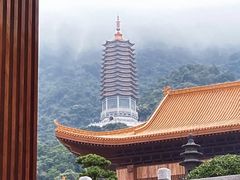 -深圳仙湖植物园-停车场