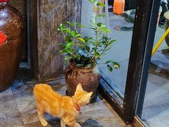 -囿面传统制面馆(中央路店)
