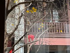 -鲤院·新中式美学·庭院餐厅(夫子庙店)
