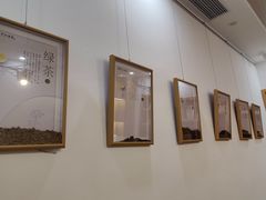 -子曰书院·古筝围棋书法国画小主持(夏都店)