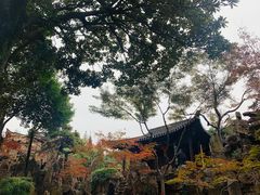 -陈记菜馆·非遗淮扬菜(东关街教场店)